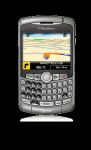 СОТОВЫЙ ТЕЛЕФОН  BLACKBERRY 8320 Curve Titanium