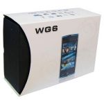 WG6